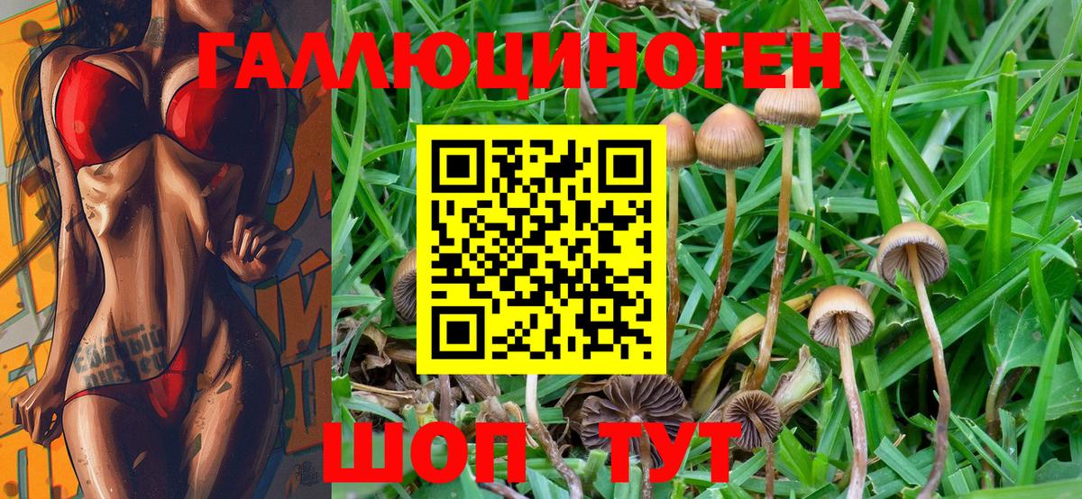 Псилоцибиновые грибы Psilocybine cubensis Верхний Уфалей