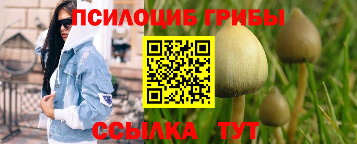 Галлюциногенные грибы ЛСД  Вход с VPN  Верхний Уфалей  Галлюциногенные грибы MAGIC MUSHROOMS 